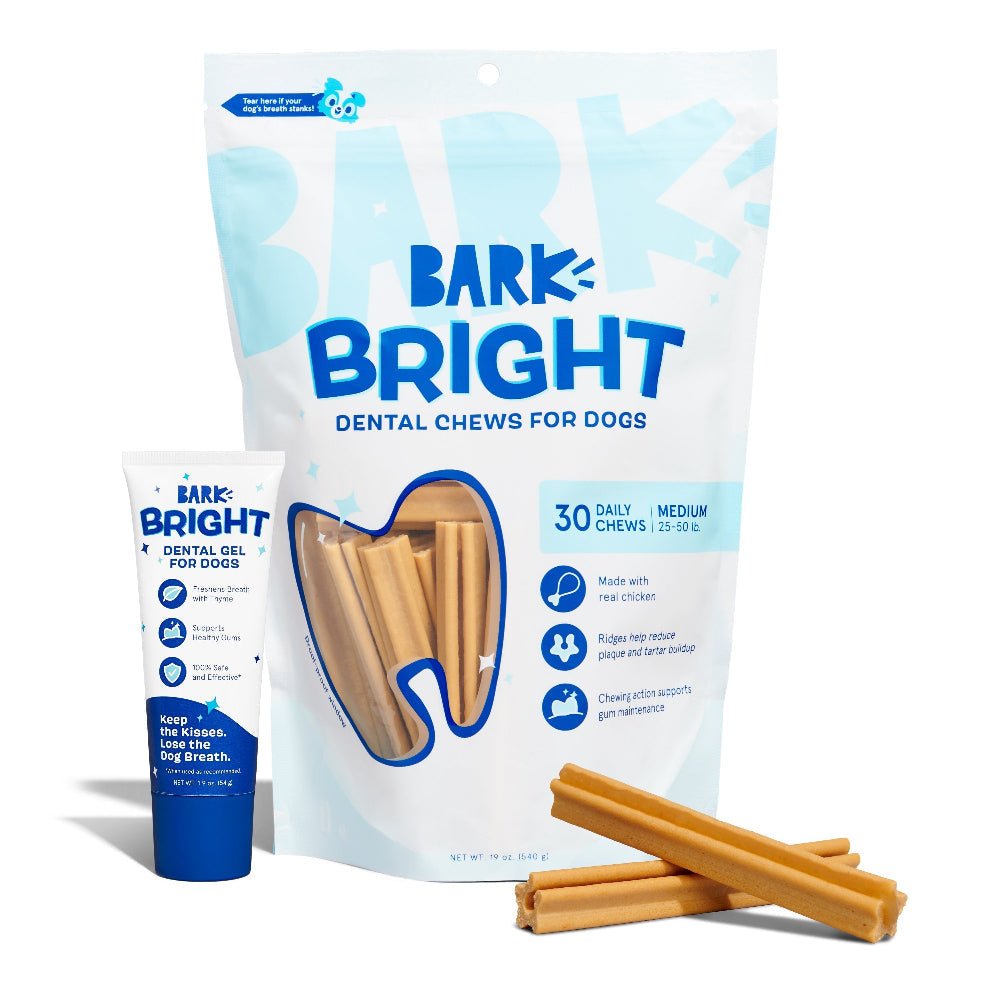 The Bright Dental Kit - Eva Pet - BARK