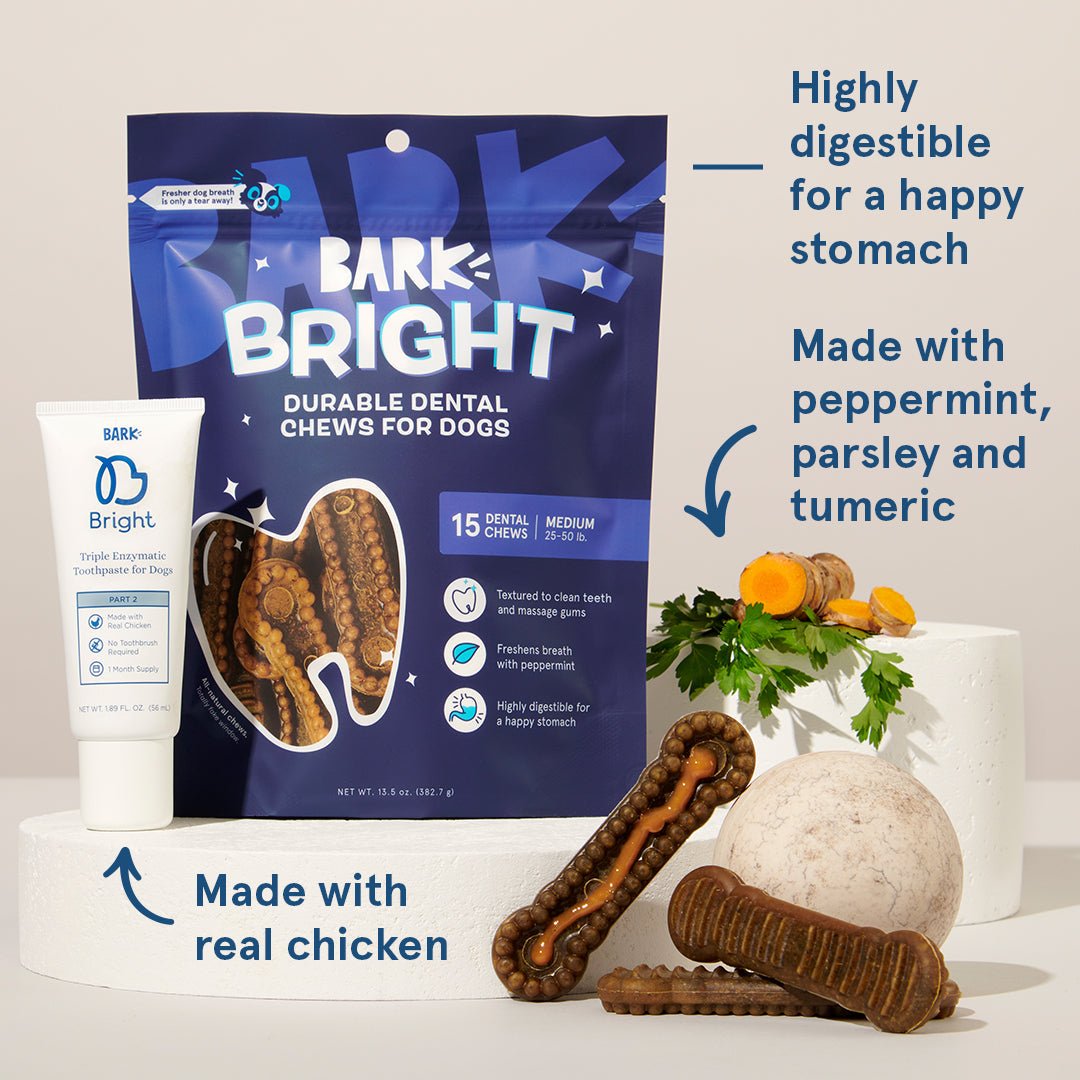 The Bright Durable Dental Kit - Eva Pet - BARK