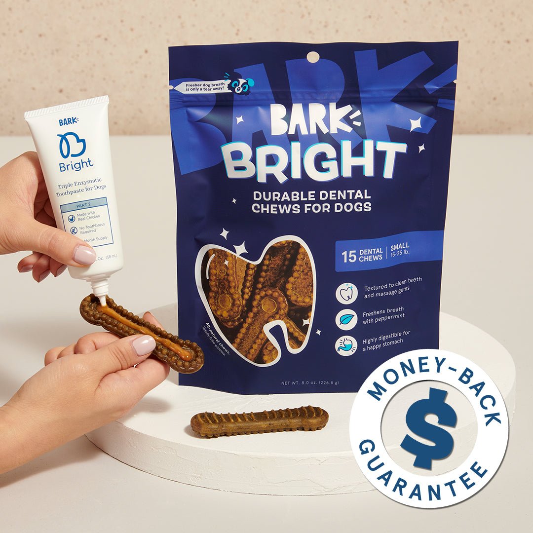 The Bright Durable Dental Kit - Eva Pet - BARK