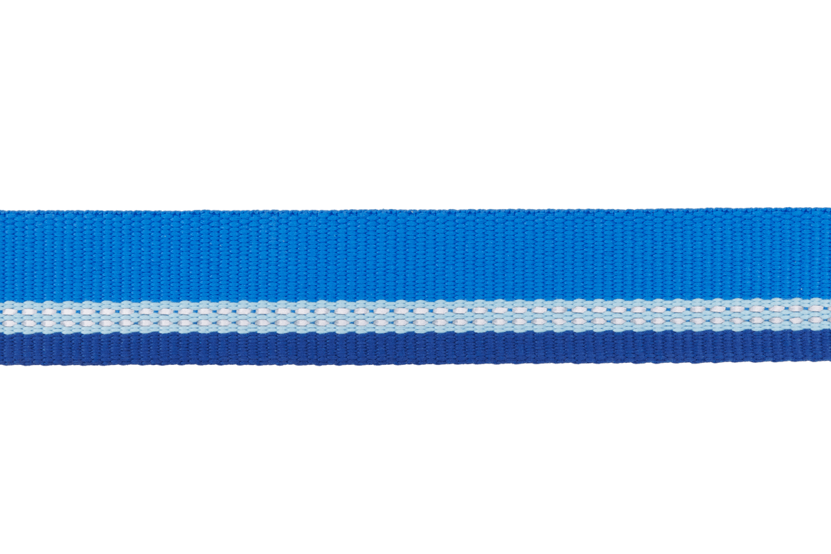 Top Rope™ Metal Buckle Dog Collar - Eva Pet - Ruff Wear Inc.
