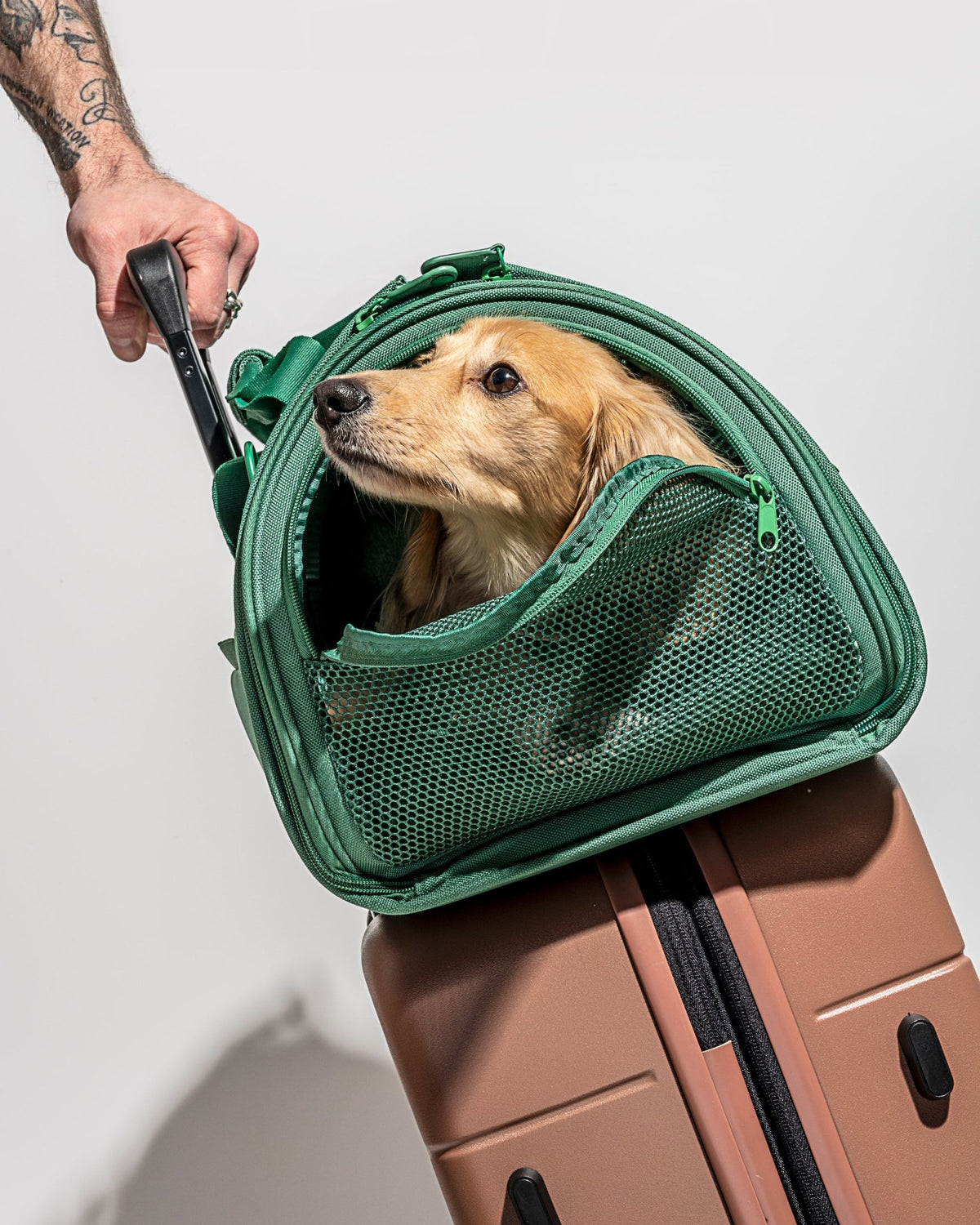 Travel Carrier - Eva Pet - Wild One