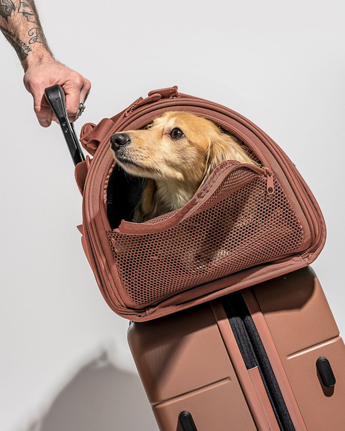Travel Carrier - Eva Pet - Wild One