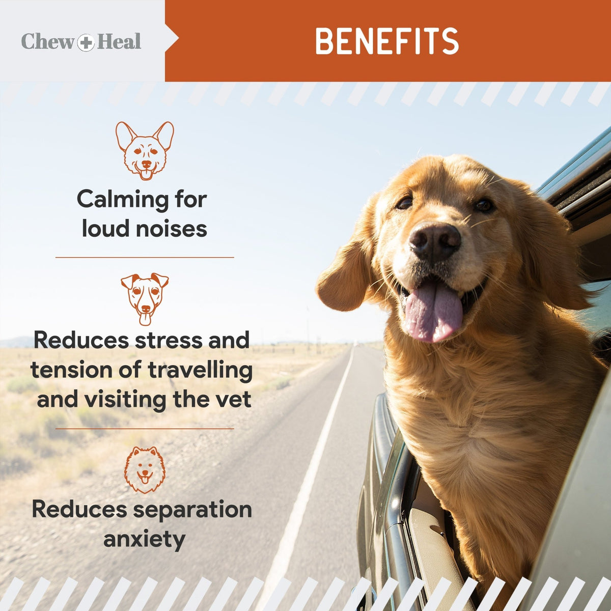 Travel - Sized Anxiety & Stress Chews Supplement for Dogs - Eva Pet - Chew + Heal