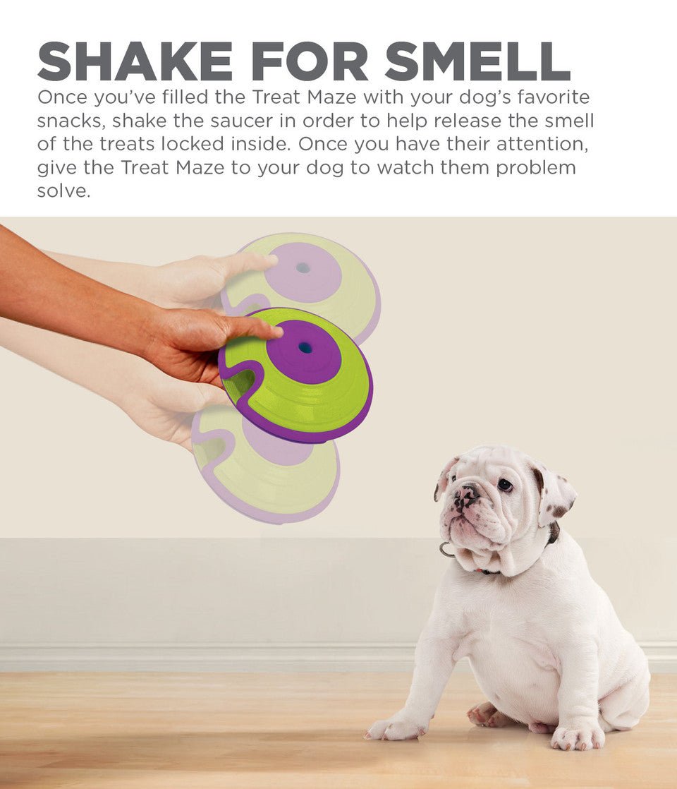 Treat Maze Interactive Puzzle Dog Toy, Green - Eva Pet - Outward Hound