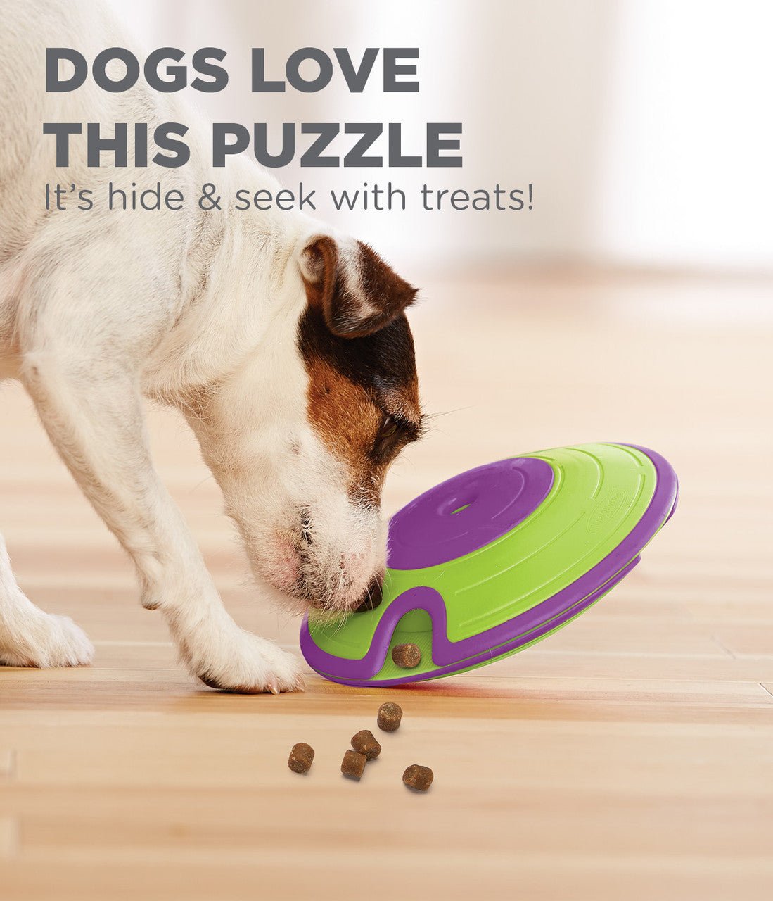 Treat Maze Interactive Puzzle Dog Toy, Green - Eva Pet - Outward Hound