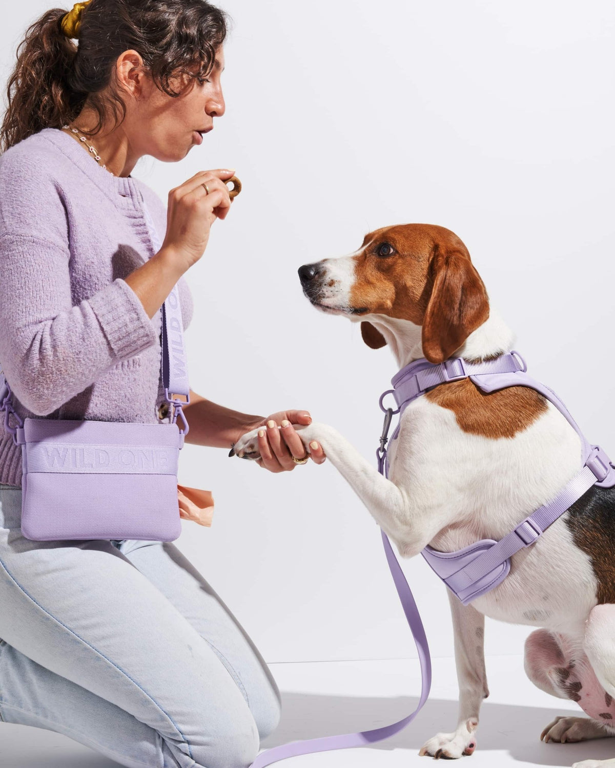 Treat Pouch - Eva Pet - Wild One