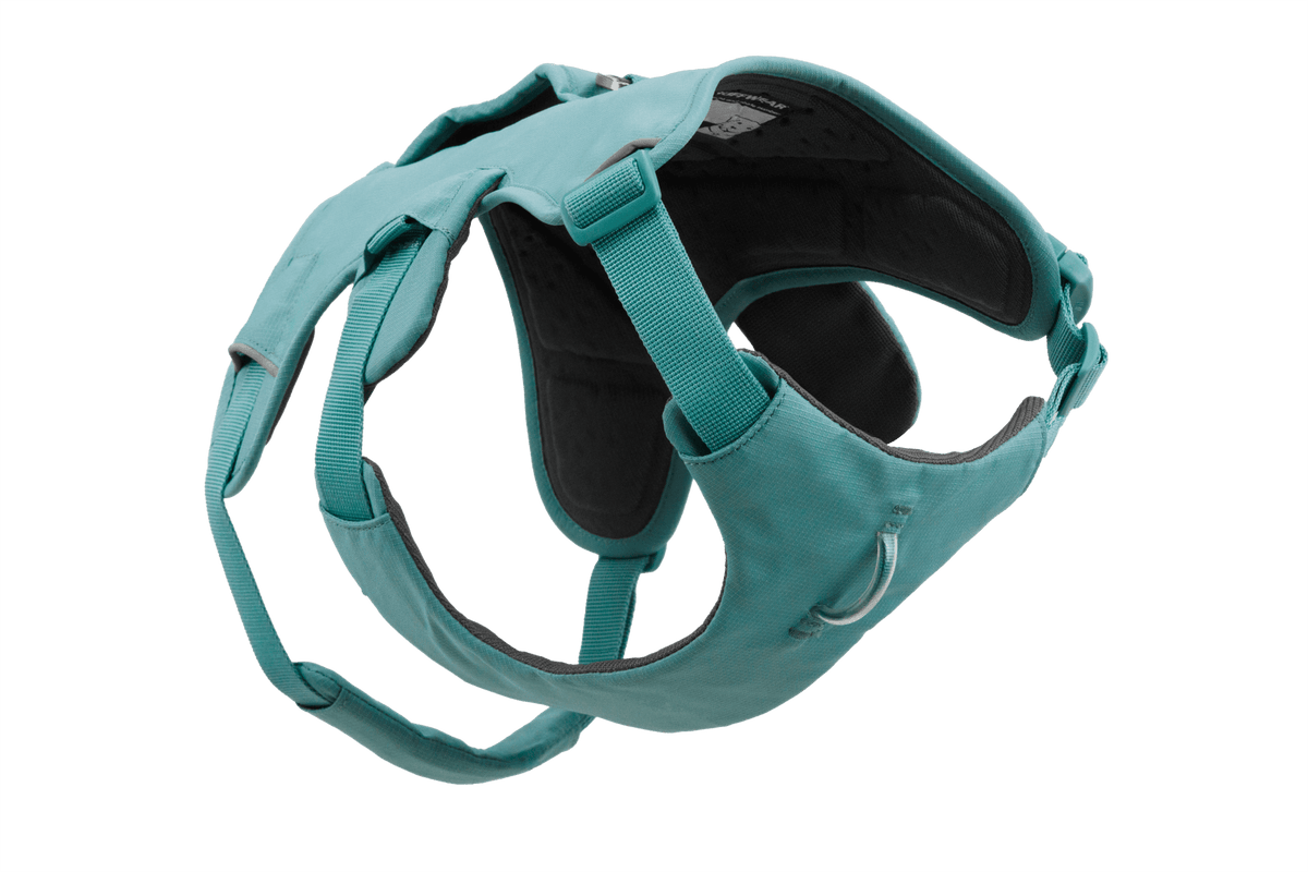 Web Master™ Dog Harness with Handle - Eva Pet - Ruff Wear Inc.