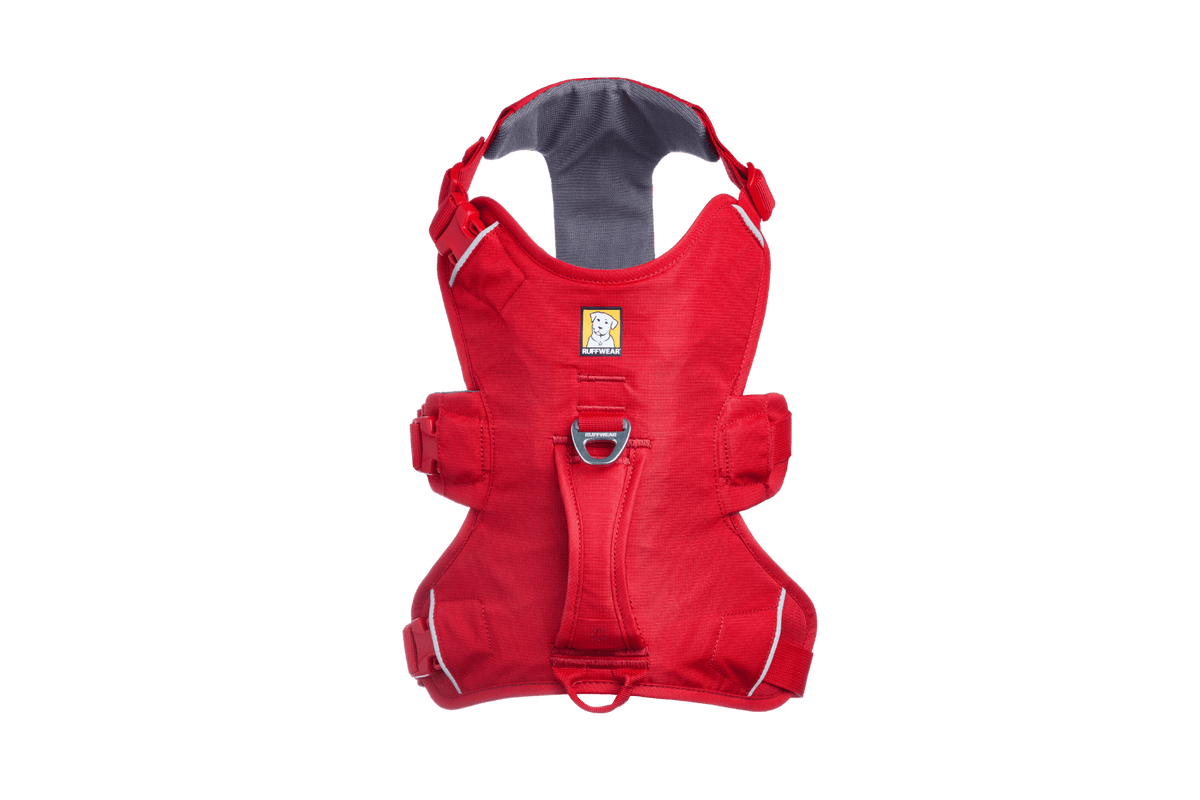 Web Master™ Dog Harness with Handle - Eva Pet - Ruff Wear Inc.