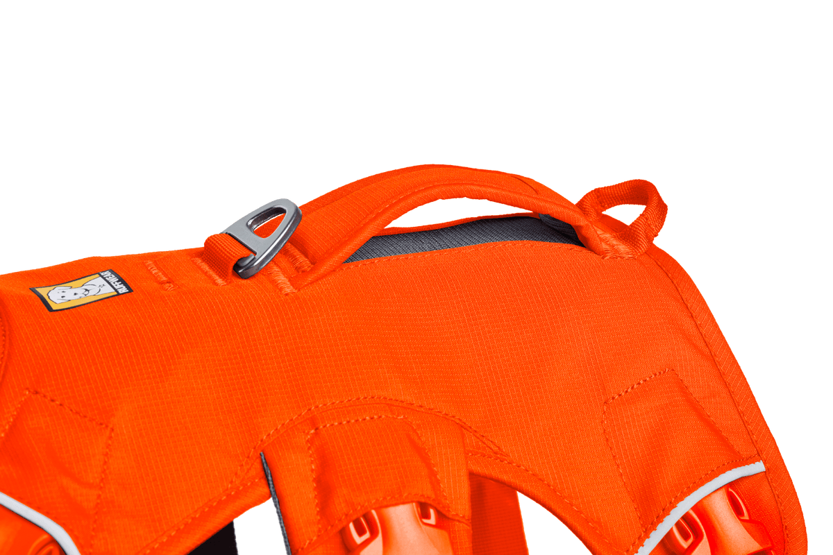 Web Master™ Dog Harness with Handle - Eva Pet - Ruff Wear Inc.