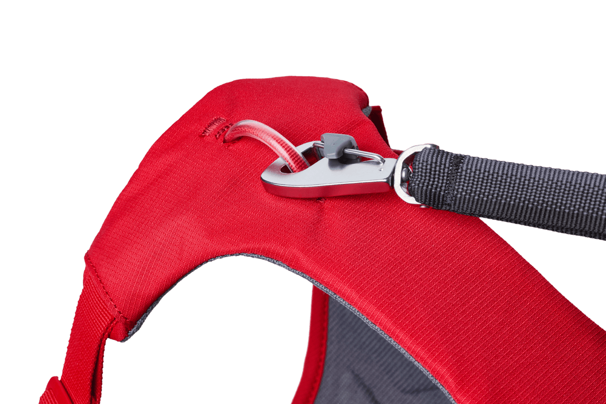Web Master™ Dog Harness with Handle - Eva Pet - Ruff Wear Inc.