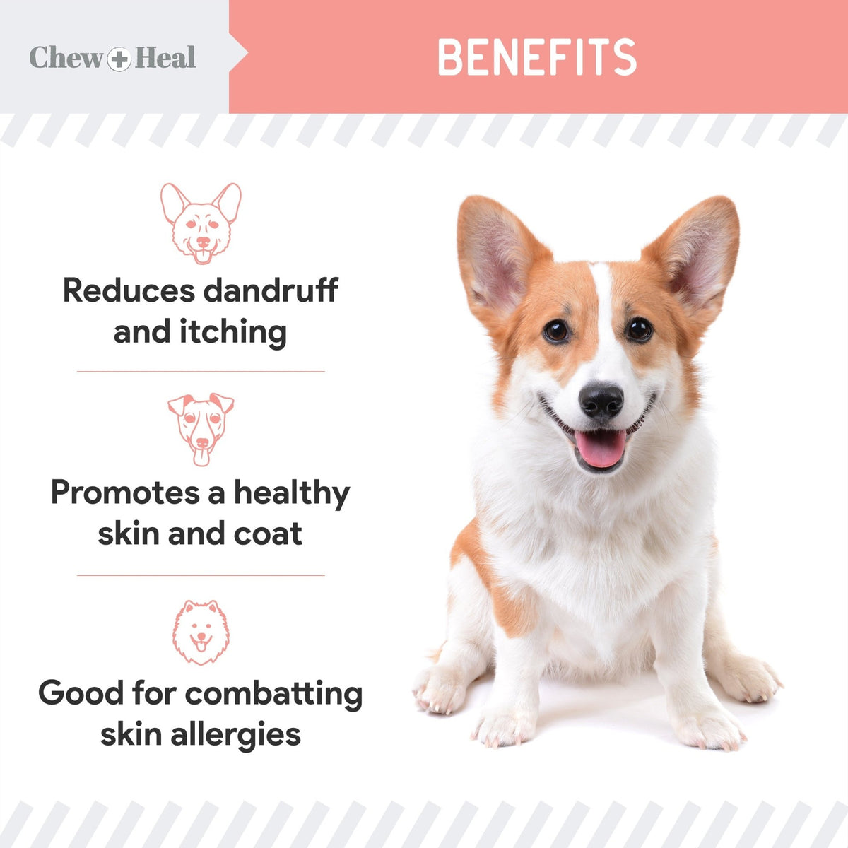 Wild Alaskan Omega Salmon Oil Formula Skin & Coat Liquid Supplement for Dogs - Eva Pet - Chew + Heal