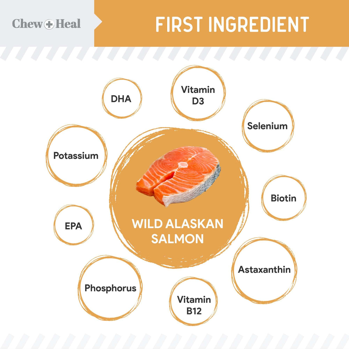 Wild Alaskan Omega Skin + Coat Salmon Soft Jerky Dog Treats - Eva Pet - Chew + Heal