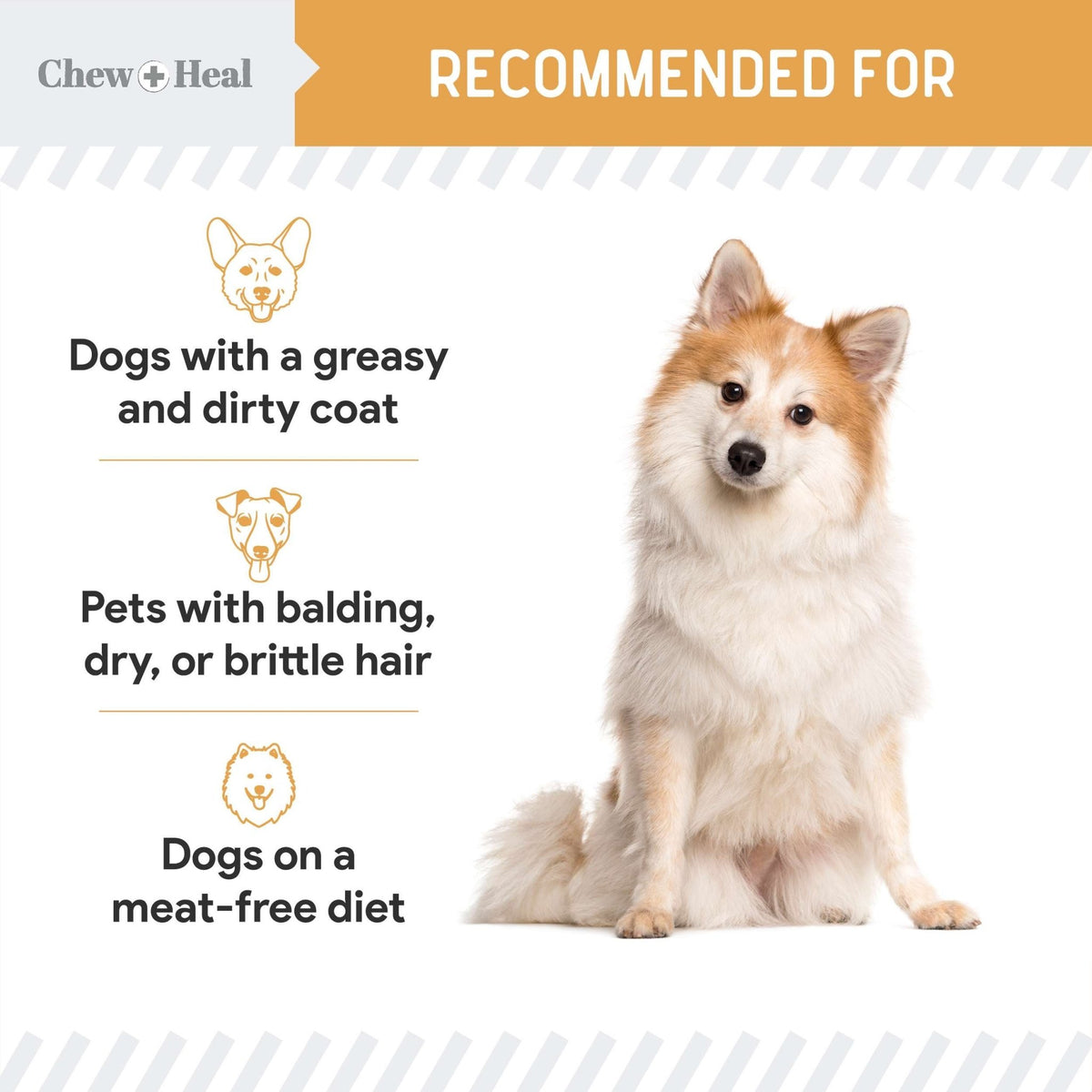 Wild Alaskan Omega Skin + Coat Salmon Soft Jerky Dog Treats - Eva Pet - Chew + Heal