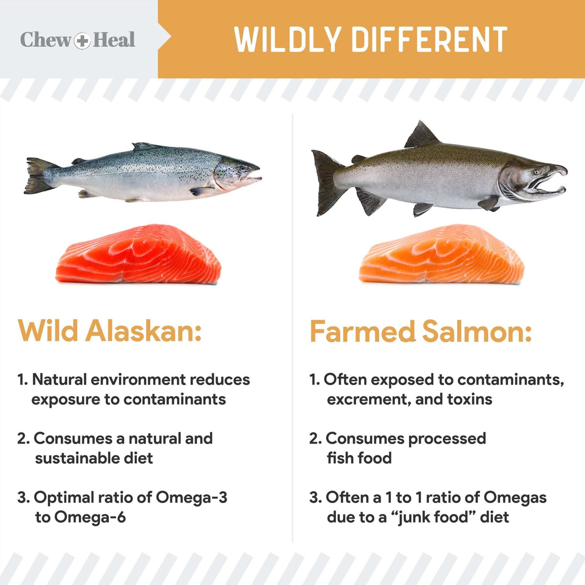 Wild Alaskan Omega Skin + Coat Salmon Soft Jerky Dog Treats - Eva Pet - Chew + Heal