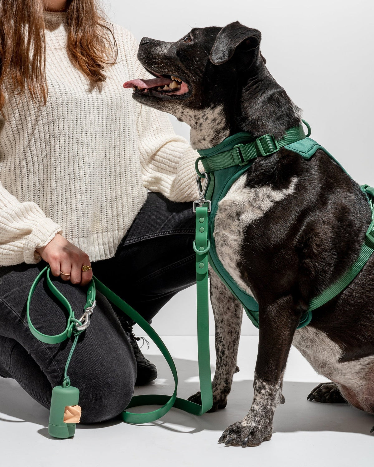 Wild One Dog Harness - Eva Pet - Wild One