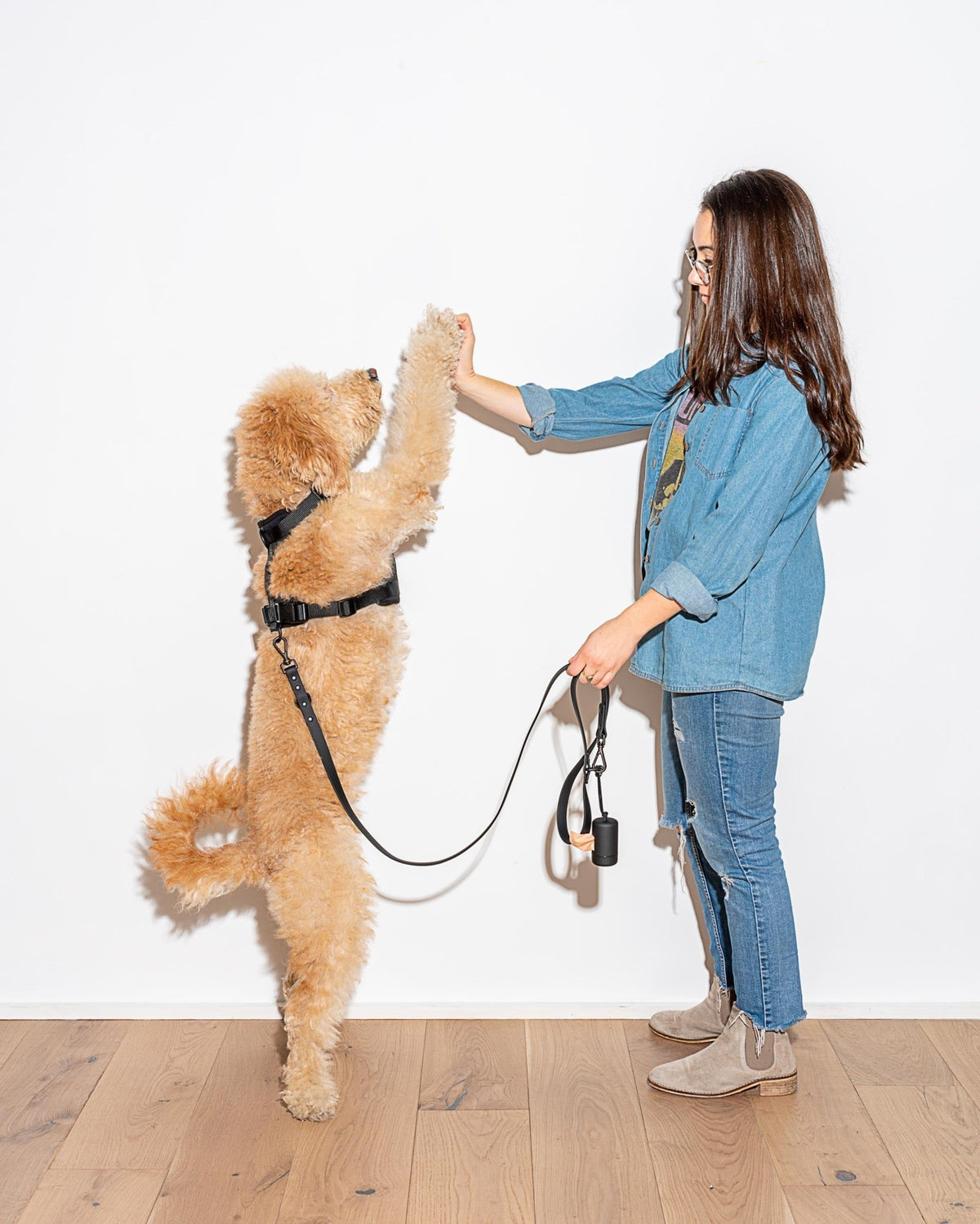 Wild One Dog Leash - Eva Pet - Wild One