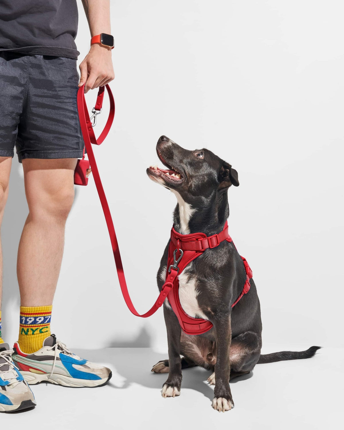 Wild One Dog Leash - Eva Pet - Wild One