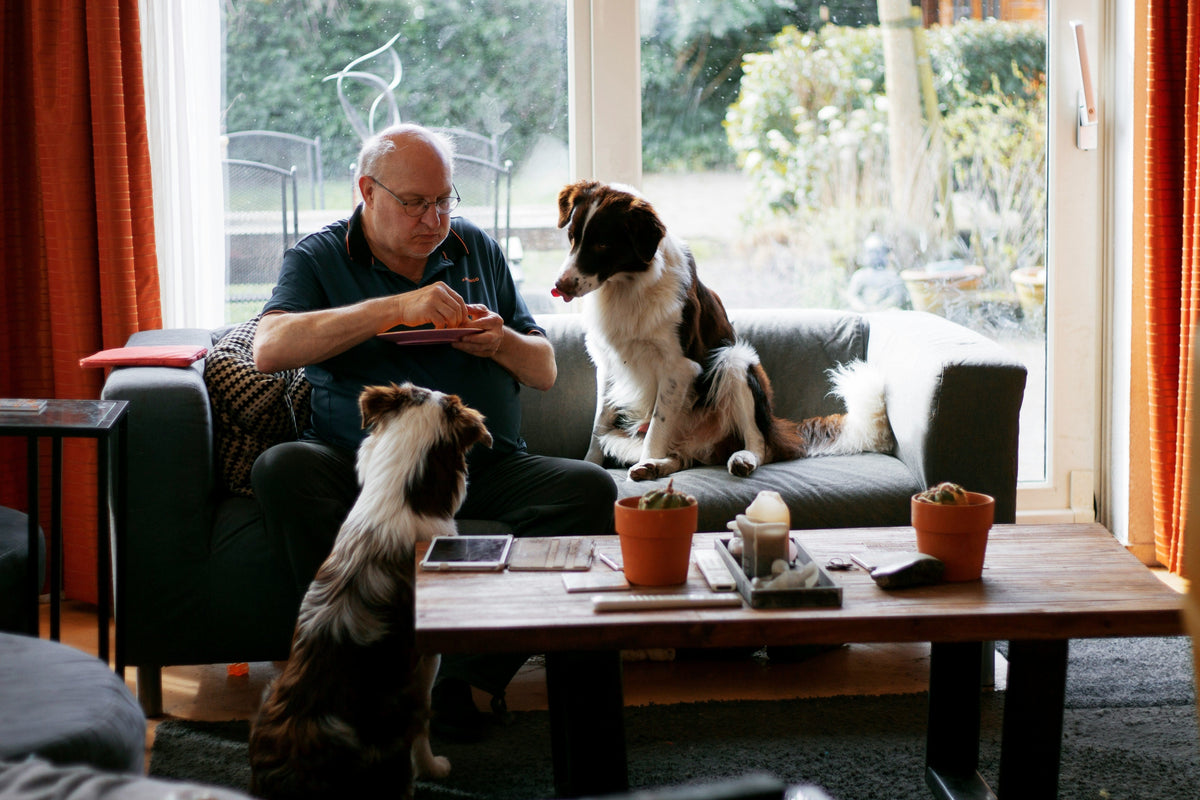 How Dogs Say ‘I Love You’: 10 Subtle Signs Your Pup Adores You - Eva Pet