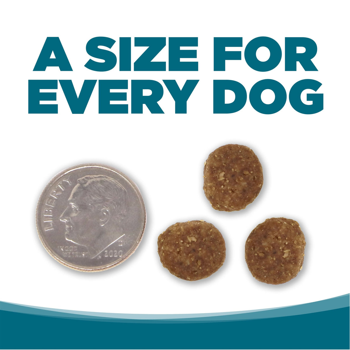 Adult Chicken & Rice - Eva Pet - NutriSource