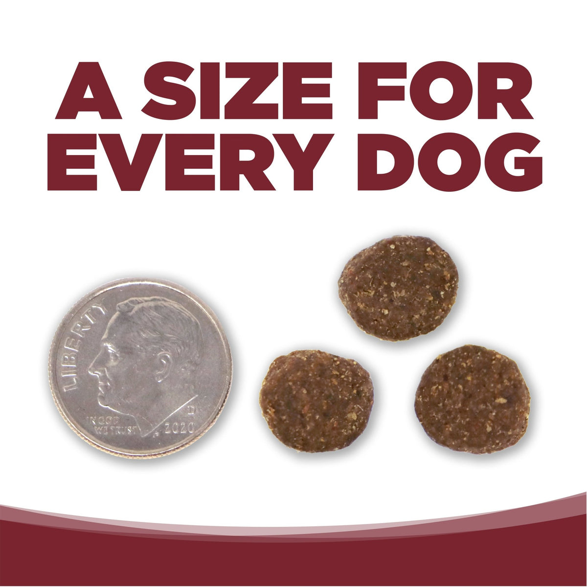 Beef & Rice - Eva Pet - NutriSource