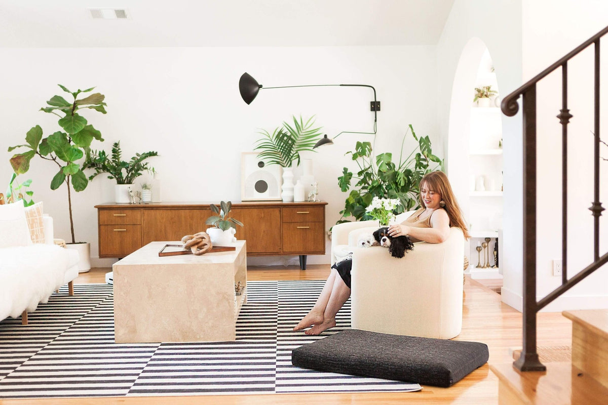 Black Dog Bed | Modern Dog Bed or Bed Cover - Eva Pet - LAY LO™ Pets