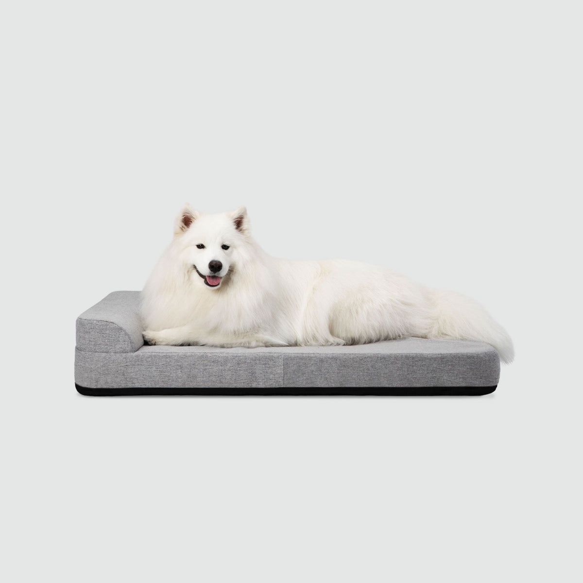 Bolstr Evolv Bed - Eva Pet - Diggs