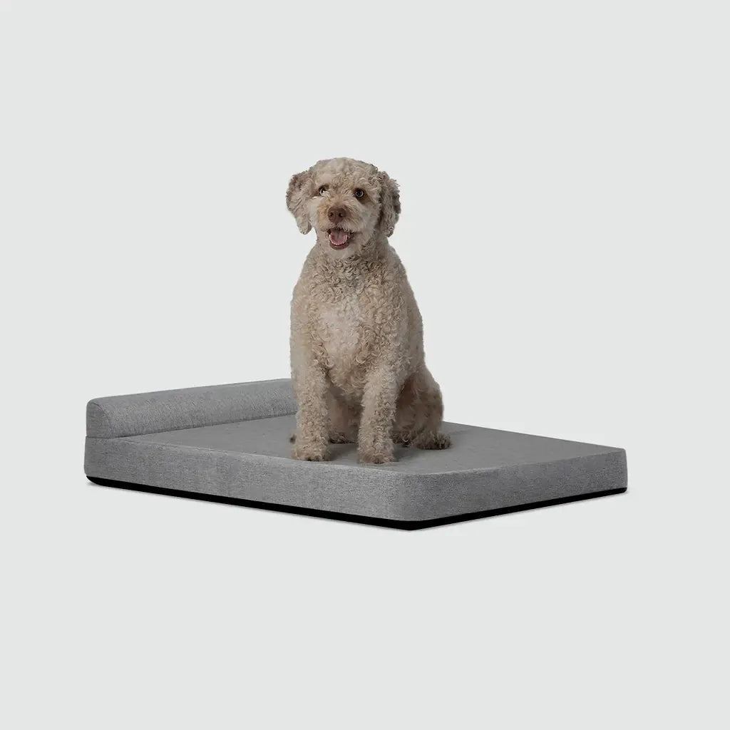 Bolstr Evolv Bed - Eva Pet - Diggs