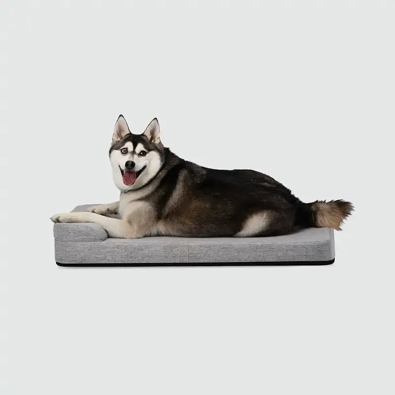 Bolstr Evolv Bed - Eva Pet - Diggs