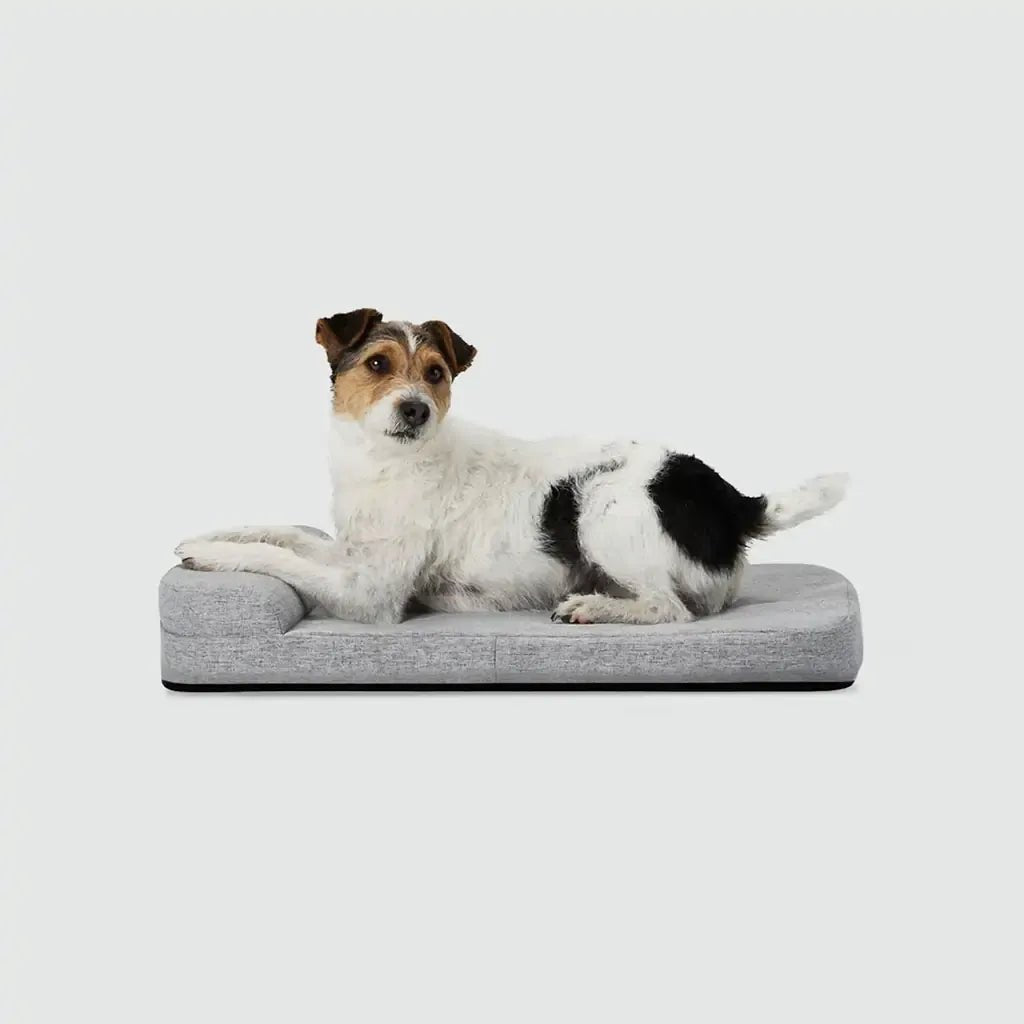Bolstr Evolv Bed - Eva Pet - Diggs
