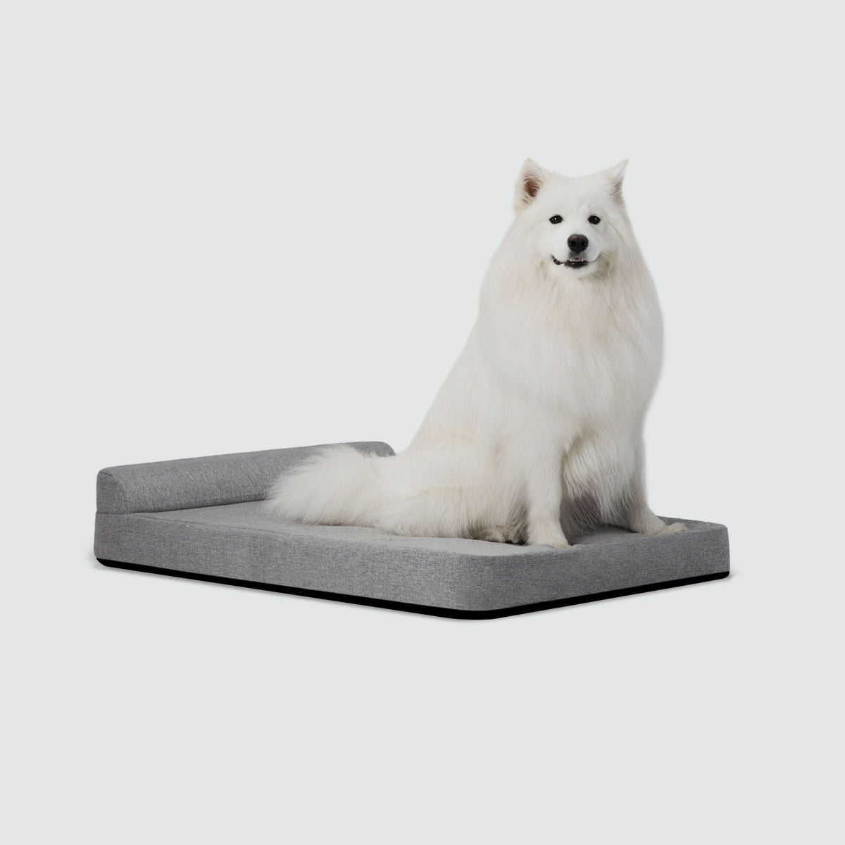 Bolstr Evolv Bed - Eva Pet - Diggs