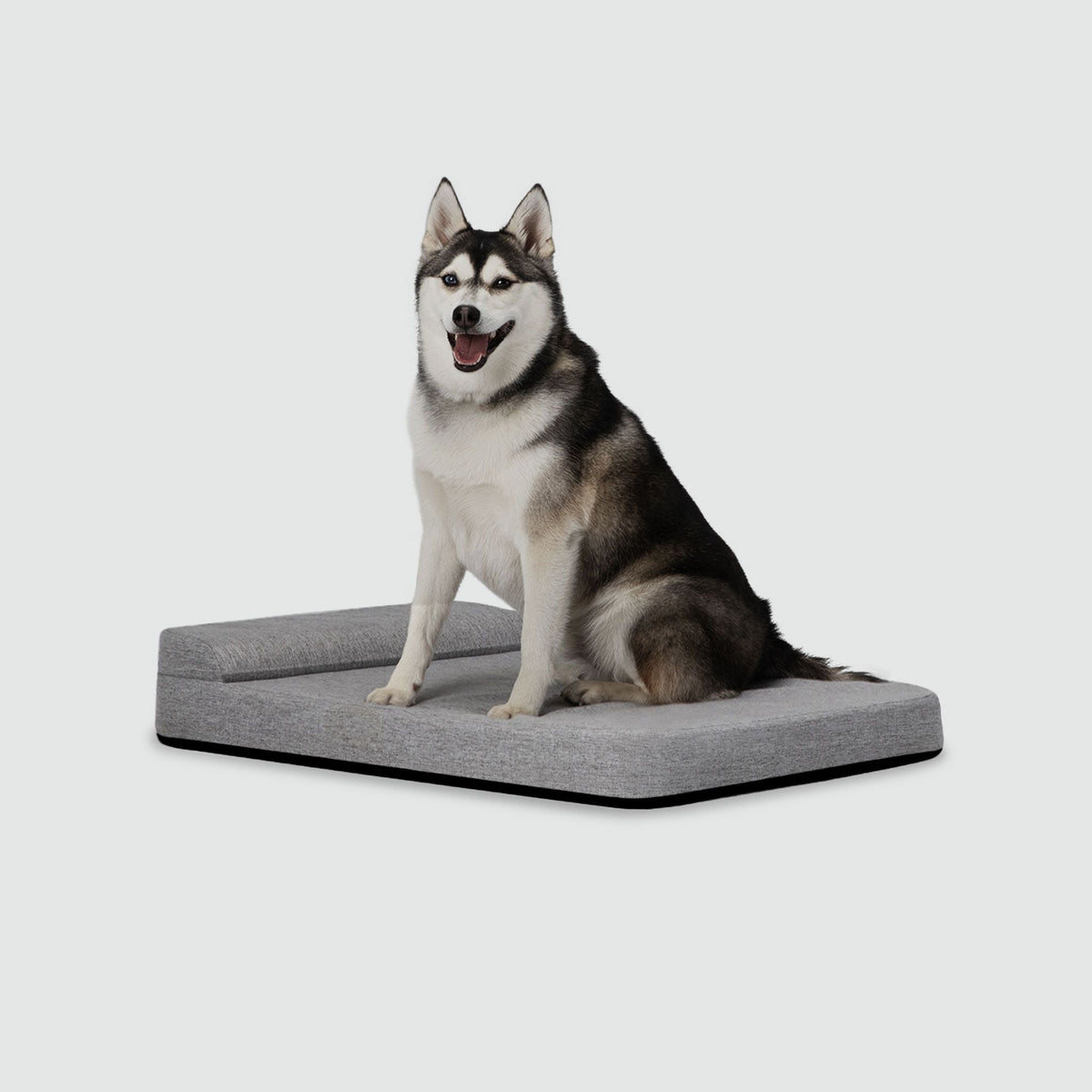 Bolstr Evolv Bed - Eva Pet - Diggs