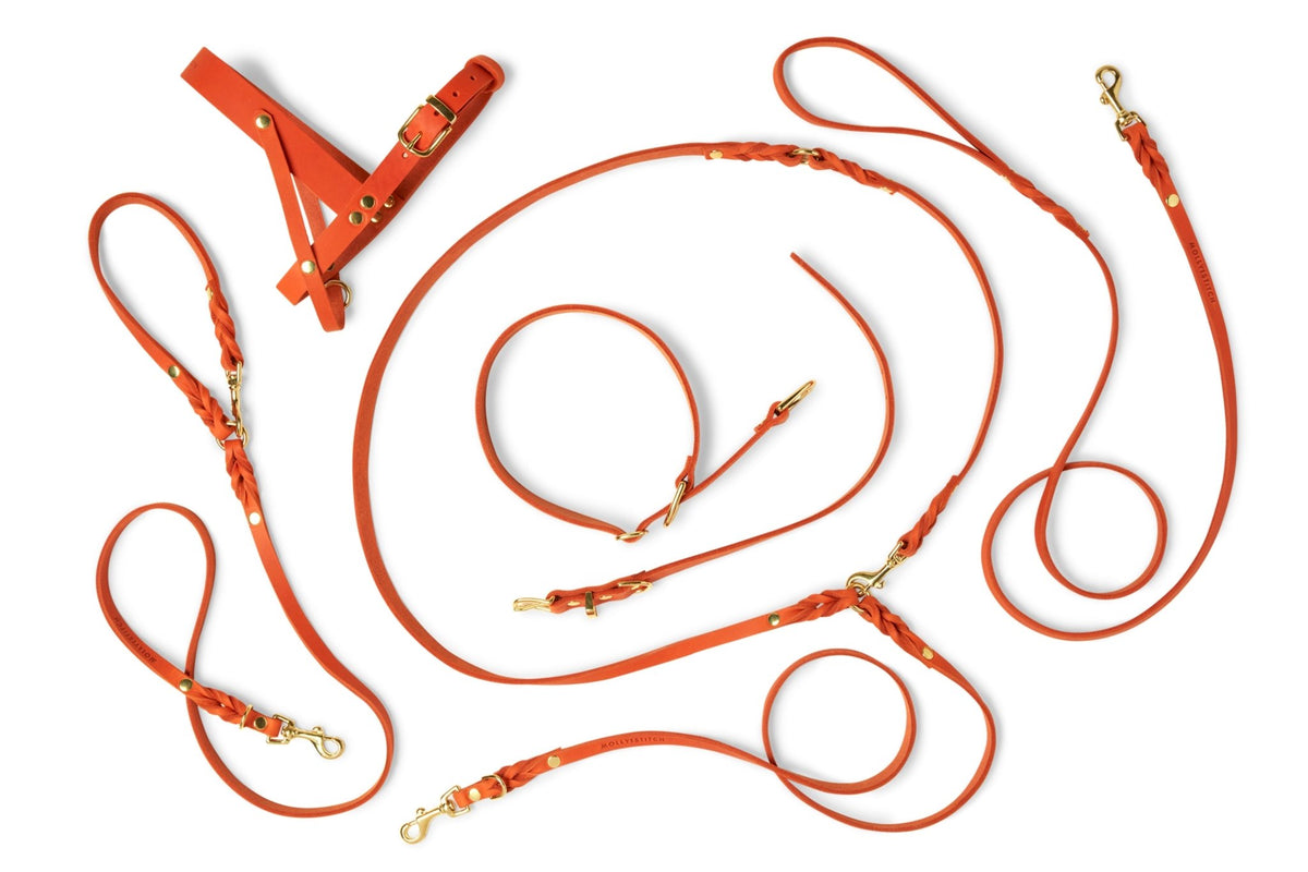 Butter Leather 3x Adjustable Dog Leash - Mango - Eva Pet - mollyandstitchus