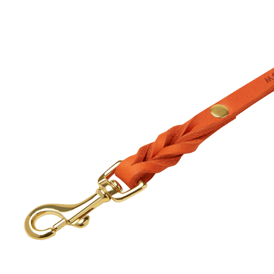 Butter Leather 3x Adjustable Dog Leash - Mango - Eva Pet - mollyandstitchus