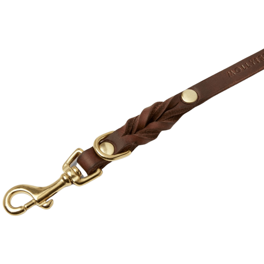 Butter Leather City Dog Leash - Classic Brown - Eva Pet - mollyandstitchus