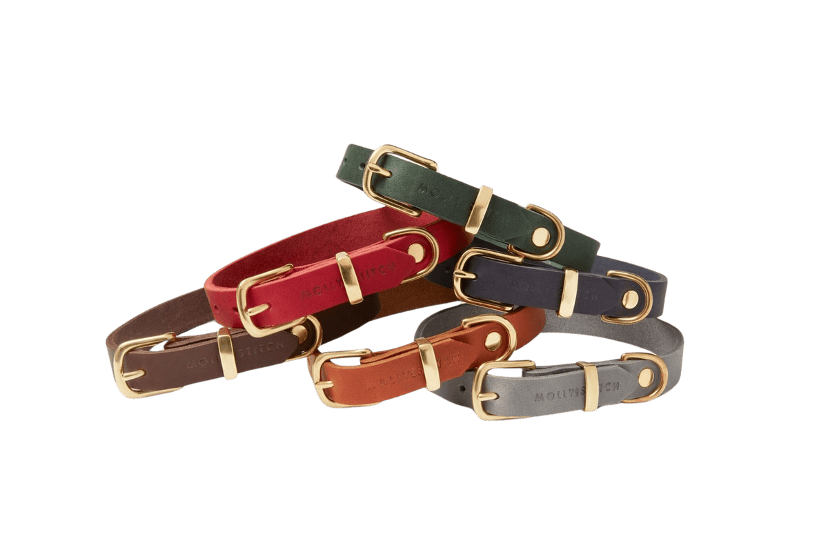 Butter Leather Dog Collar - Timeless Grey - Eva Pet - mollyandstitchus