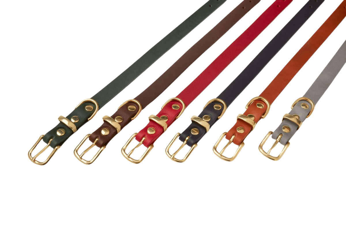 Butter Leather Dog Collar - Timeless Grey - Eva Pet - mollyandstitchus