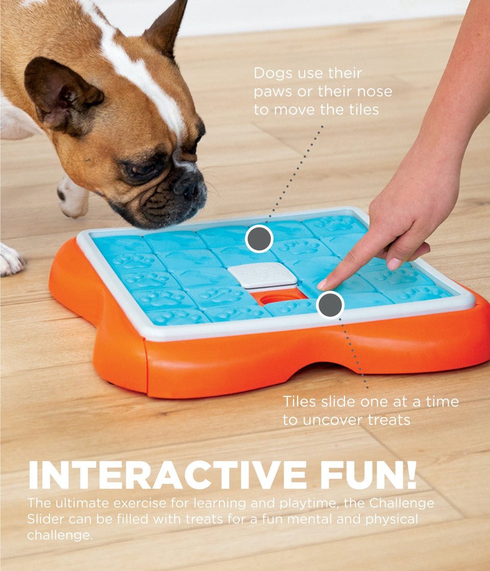 Challenge Slider Interactive Treat Puzzle Dog Toy, Multi - Eva Pet - Outward Hound