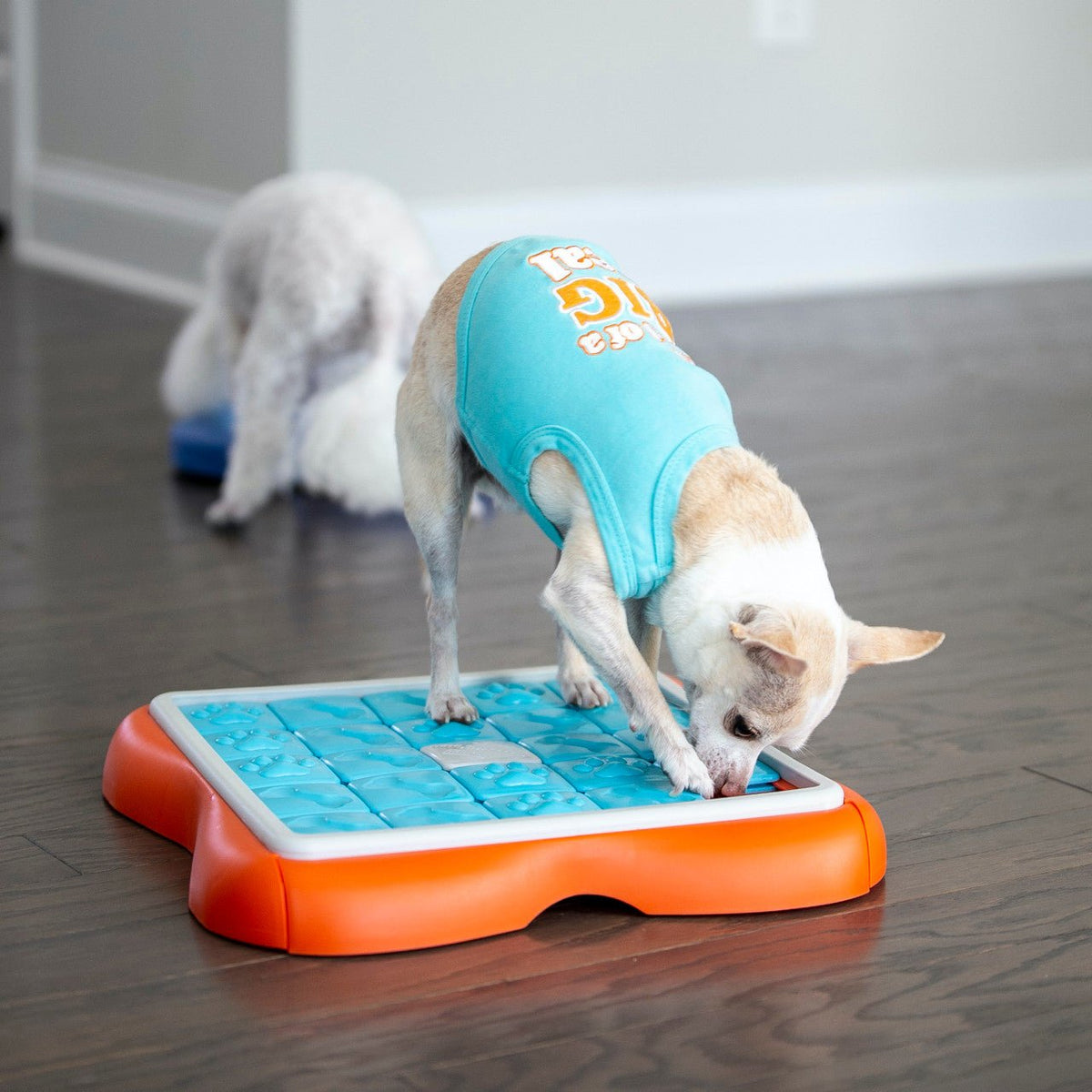 Challenge Slider Interactive Treat Puzzle Dog Toy, Multi - Eva Pet - Outward Hound