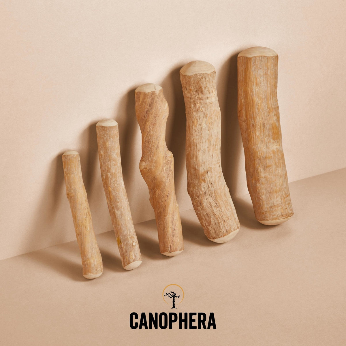 Coffee Wood Chew Sticks - Eva Pet - CANOPHERA
