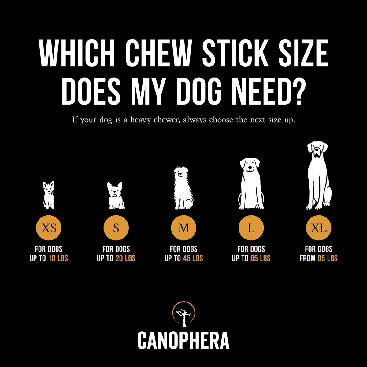 Coffee Wood Chew Sticks - Eva Pet - CANOPHERA