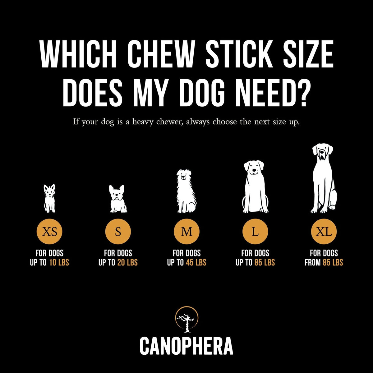 Coffee Wood Chew Sticks - Eva Pet - Eva Pet