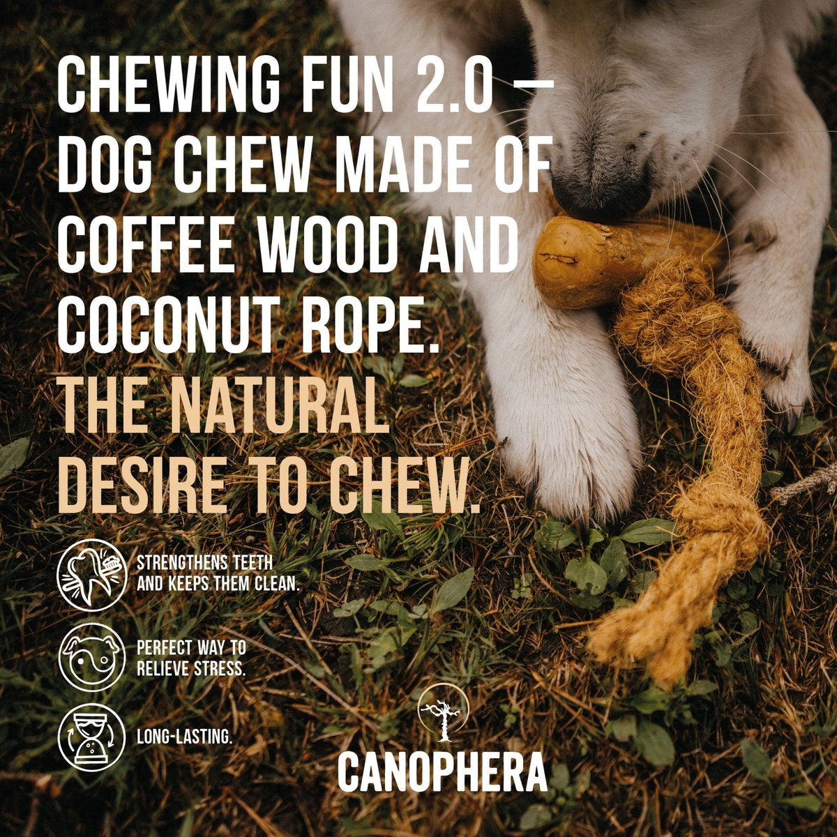 Coffee+Coco Chews - Eva Pet - CANOPHERA