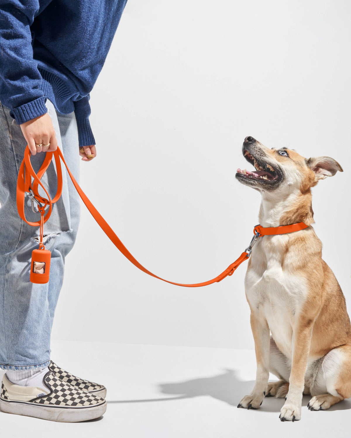 Collar - Eva Pet - Wild One