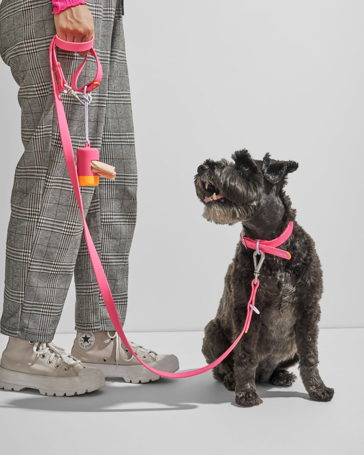 Collar - Eva Pet - Wild One