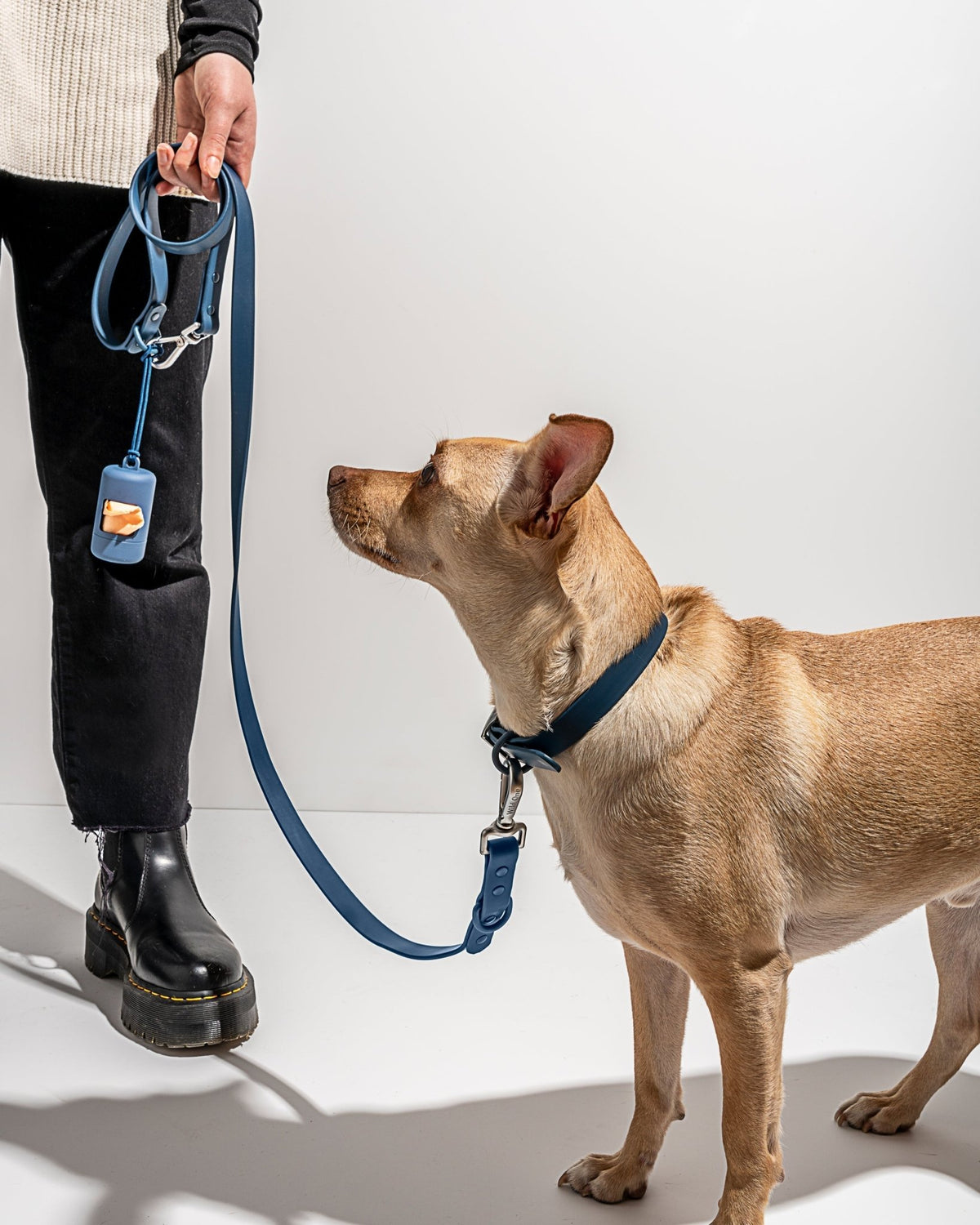 Collar - Eva Pet - Wild One