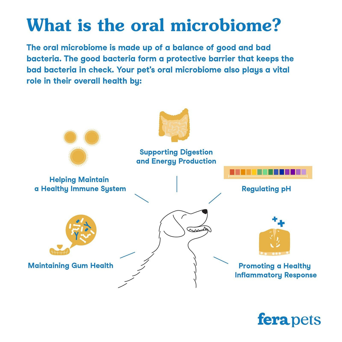 Dental Support - Eva Pet - Fera Pets
