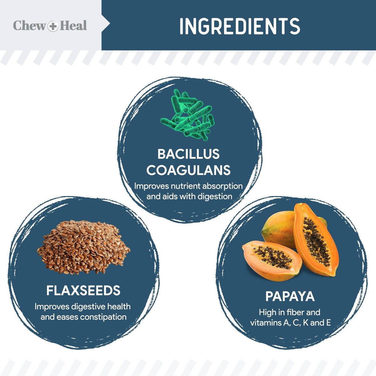 Digestive Enzymes & Probiotics Supplement for Dogs - Eva Pet - Chew + Heal