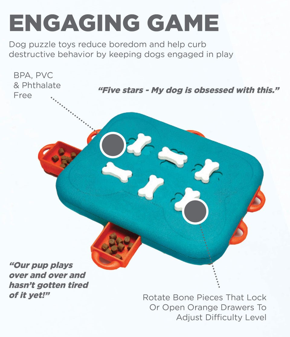 Dog Casino Interactive Treat Puzzle Dog Toy, Turquoise - Eva Pet - Outward Hound