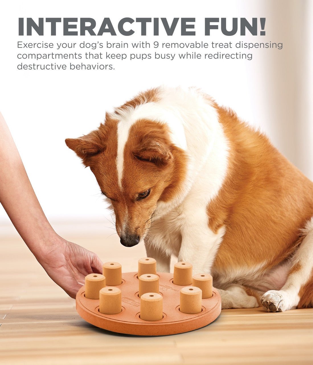 Dog Smart Composite Interactive Treat Puzzle Dog Toy, Orange - Eva Pet - Outward Hound