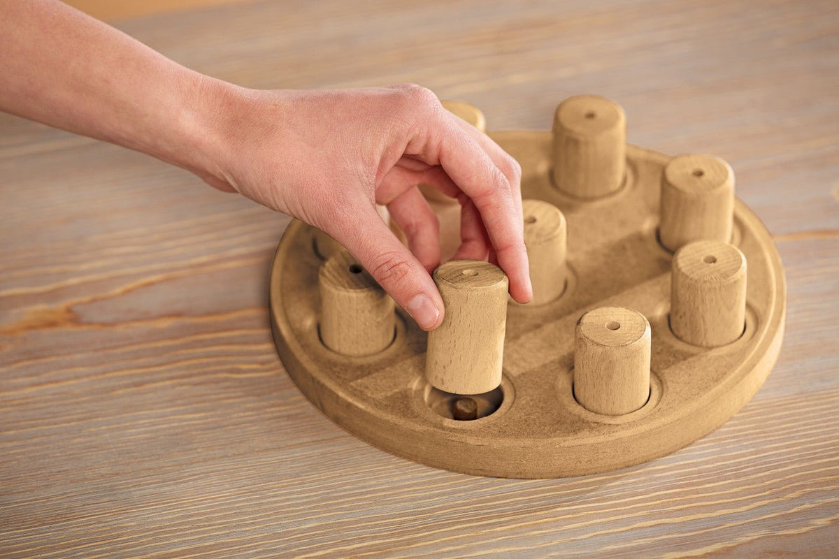 Dog Smart Composite Interactive Treat Puzzle Dog Toy, Tan - Eva Pet - Outward Hound